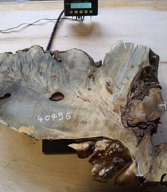 Buckeye Maser Baumscheibe, ca. 820 x 610 x 52 mm, 40796