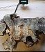 Buckeye burl slab, approx. 910 x 580 x 52 mm, 40797