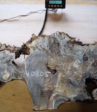 Buckeye Maser Baumscheibe, ca. 1050 x 550 x 52 mm, 40805