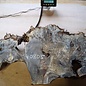 Buckeye burl slab, approx. 1050 x 550 x 52 mm, 40805