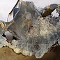 Buckeye burl slab, approx. 1050 x 550 x 52 mm, 40805