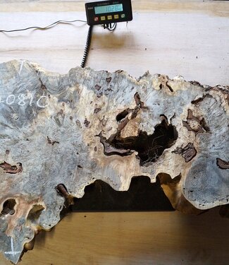 Buckeye Maser Baumscheibe, ca. 1050 x 630 x 52 mm, 40810