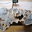 Buckeye burl slab, approx. 1050 x 630 x 52 mm, 40810