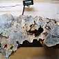 Buckeye burl slab, approx. 1050 x 630 x 52 mm, 40810