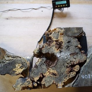 Buckeye burl slab, approx. 840 x 500 x 52 mm, 40815