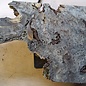 Buckeye burl slab, approx. 840 x 500 x 52 mm, 40815