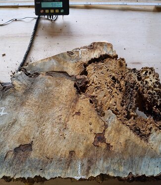 Buckeye Maser Baumscheibe, ca. 1050 x 550 x 52 mm, 40837