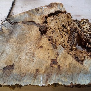 Buckeye burl slab, approx. 1050 x 550 x 52 mm, 40837