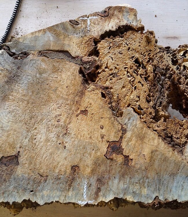 Buckeye burl slab, approx. 1050 x 550 x 52 mm, 40837