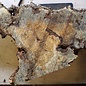 Buckeye burl slab, approx. 950 x 500 x 52 mm, 40838