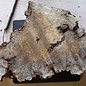 Buckeye burl slab, approx. 970 x 420 x 52 mm, 40842