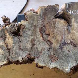 Buckeye burl slab, approx. 1330 x 540 x 52 mm, 40848