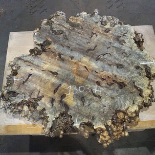 Buckeye Burl table top, approx. 1090 x 1230(1450) x 52 mm, 13037