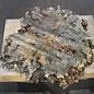 Buckeye Burl table top, approx. 1090 x 1230(1450) x 52 mm, 13037