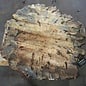 Buckeye Burl table top, approx. 1690 x 1520 x 65 mm, 13039