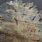 Buckeye Burl table top, approx. 1690 x 1520 x 65 mm, 13039