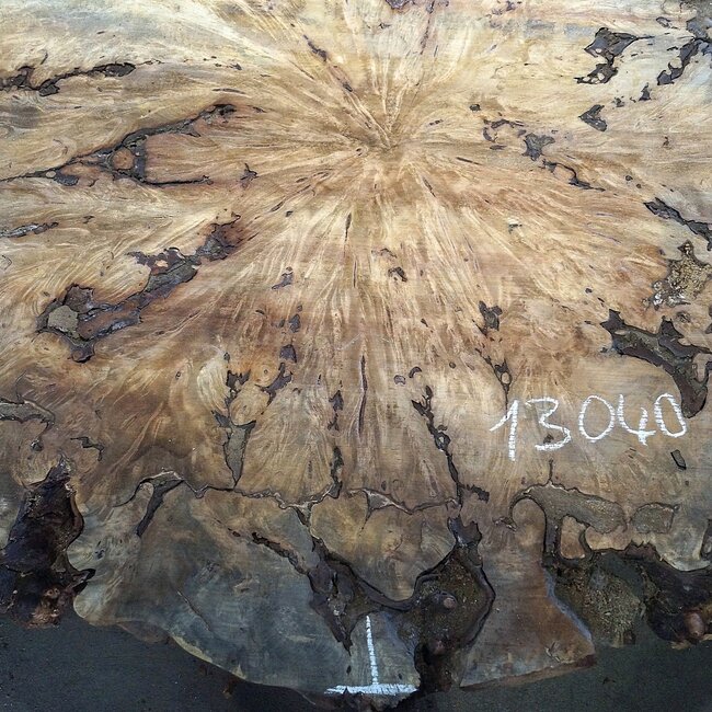 Buckeye Burl table top, approx. 1580(1640) x 1510 x 52 mm, 13040