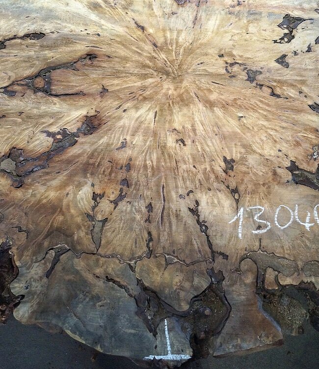 Buckeye Maser Tischplatte, ca. 1580(1640) x 1510 x 52 mm, 13040