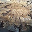 Buckeye Burl table top, approx. 1580(1640) x 1510 x 52 mm, 13040