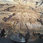 Buckeye Burl table top, approx. 1580(1640) x 1510 x 52 mm, 13040