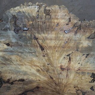 Buckeye Burl table top, approx. 1580(1640) x 1510 x 52 mm, 13040