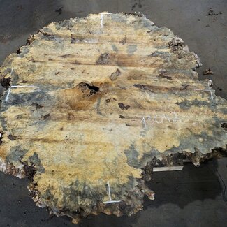 Buckeye Burl table top, approx. 1720(1850) x 1470(1750) x 52 mm, 13042