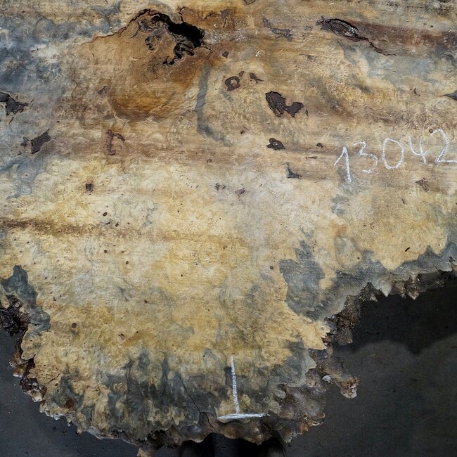 Buckeye Burl table top, approx. 1720(1850) x 1470(1750) x 52 mm, 13042