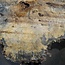 Buckeye Burl table top, approx. 1720(1850) x 1470(1750) x 52 mm, 13042