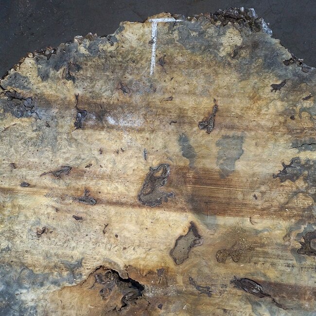 Buckeye Burl table top, approx. 1720(1850) x 1470(1750) x 52 mm, 13042