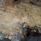 Buckeye Burl table top, approx. 1770(1870) x 1590(1750) x 52 mm, 13043