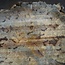 Buckeye Burl table top, approx. 1450(1590) x 1300(1500) x 52 mm, 13045
