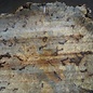 Buckeye Burl table top, approx. 1450(1590) x 1300(1500) x 52 mm, 13045