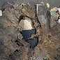 Buckeye Burl table top, approx. 1320(1410) x 1220(1370) x 52 mm, 13048