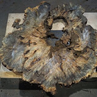 Buckeye Burl table top, approx. 1320(1410) x 1220(1370) x 52 mm, 13048