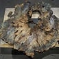 Buckeye Maser Tischplatte, ca. 1320(1410) x 1220(1370) x 52 mm, 13048