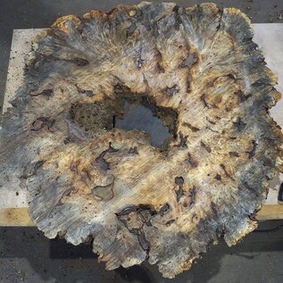 Buckeye Burl table top, approx. 1200(1310) x 1110(1130) x 52 mm, 13049