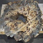 Buckeye Burl table top, approx. 1200(1310) x 1110(1130) x 52 mm, 13049