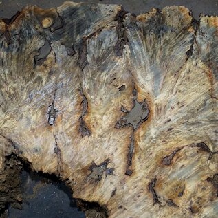 Buckeye Burl table top, approx. 1200(1310) x 1110(1130) x 52 mm, 13049