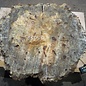 Buckeye Burl table top, approx. 1240(1400) x 1115(1300) x 60 mm, 13050
