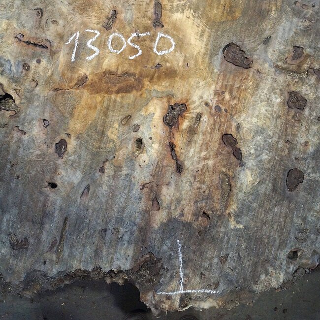 Buckeye Maser Tischplatte, ca. 1240(1400) x 1115(1300) x 60 mm, 13050