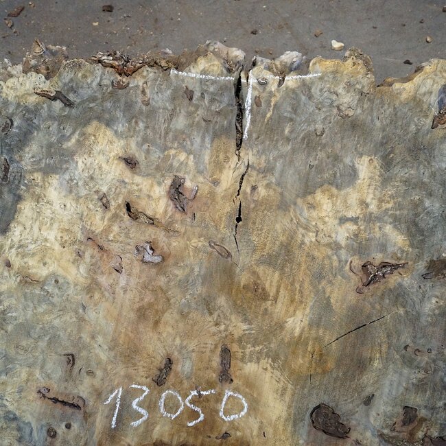Buckeye Burl table top, approx. 1240(1400) x 1115(1300) x 60 mm, 13050