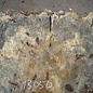 Buckeye Burl table top, approx. 1240(1400) x 1115(1300) x 60 mm, 13050