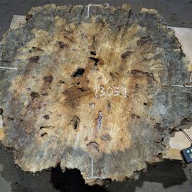Buckeye Burl table top, approx. 1330(1420) x 1260(1330) x 52 mm, 13051
