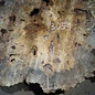 Buckeye Burl table top, approx. 1330(1420) x 1260(1330) x 52 mm, 13051