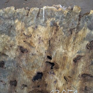 Buckeye Maser Tischplatte, ca. 1330(1420) x 1260(1330) x 52 mm, 13051