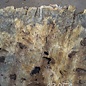 Buckeye Burl table top, approx. 1330(1420) x 1260(1330) x 52 mm, 13051