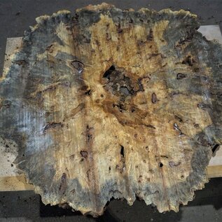 Buckeye Burl table top, approx. 1330(1420) x 1260(1330) x 52 mm, 13051