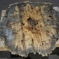 Buckeye Burl table top, approx. 1330(1420) x 1260(1330) x 52 mm, 13051