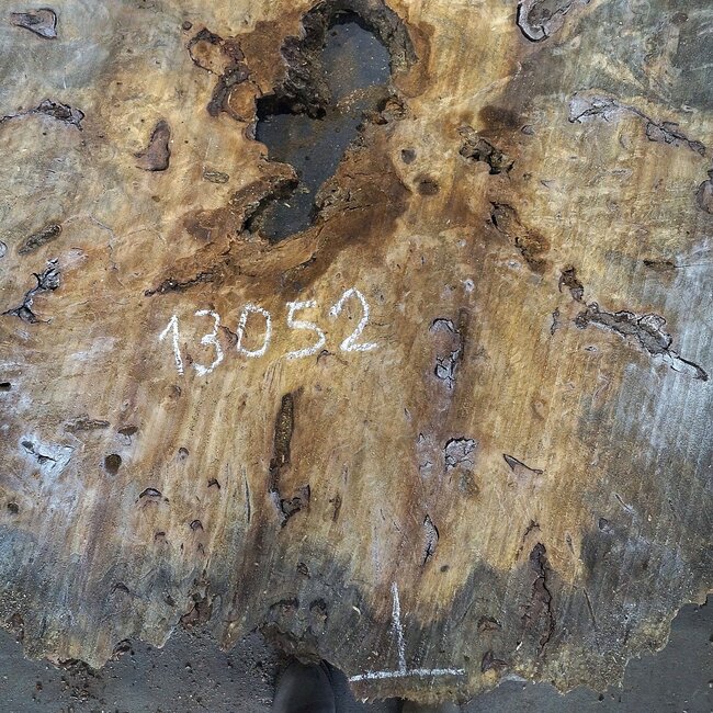 Buckeye Burl table top, approx. 1330(1470) x 1240(1400) x 52 mm, 13052