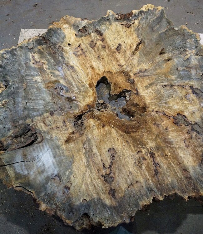 Buckeye Maser Tischplatte, ca. 1330(1470) x 1240(1400) x 52 mm, 13052